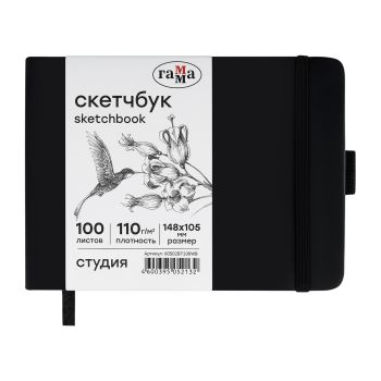 Скетчбук 100л., 148*105 Гамма 