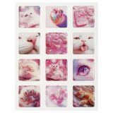 Наклейки гелевые MESHU "Sweet sugar" на телефон, 10,5*14 см., 12 наклеек инд. уп., европодвес