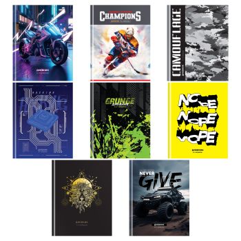 Дневник 5-11 кл. 48л. (твердый) BG 