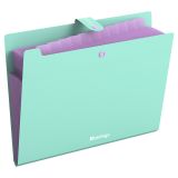 Папка 12 отделений Berlingo "Haze", А4, 600мкм, на кнопке, мятная