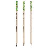 Карандаш ч/г Berlingo "Green Series" HB, шестигран., заточен., пластиковый, ассорти