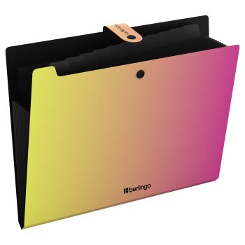 Папка 12 отделений Berlingo 