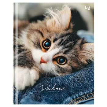 Дневник 1-11 кл. 48л. (твердый) BG 
