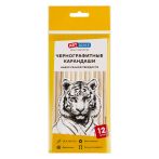 Набор карандашей ч/г ArtSpace, 12шт., 2H-2B, заточен., пакет, европодвес