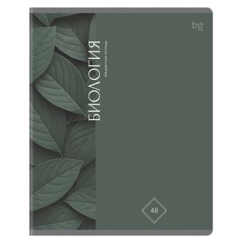 Тетрадь предметная 48л., BG 
