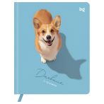 Дневник 1-11 кл. 48л. (твердый) BG "Корги", иск. кожа (балакрон), печать, ляссе