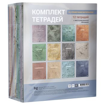 Комплект (12 шт.) предметных тетрадей 48л., BG 