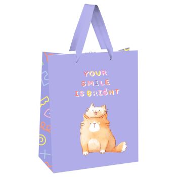 Пакет подарочный 26*32*12см MESHU 