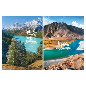 Бизнес-блокнот А5, 64л., ЛАЙТ BG 