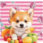 Мешок для обуви 1 отделение ArtSpace "Cute animals", 340*420мм, карман