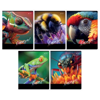 Тетрадь 48л., А5, клетка BG 