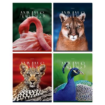 Тетрадь 96л., А5, клетка BG 