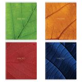 Тетрадь 96л., А5, клетка BG "Макро", матовая ламинация