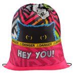 Мешок для обуви 1 отделение ArtSpace "Spy Cat", 340*420мм