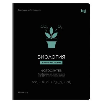 Тетрадь предметная 48л., BG 