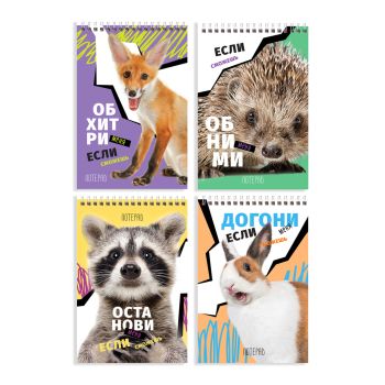 Блокнот А6 40л. на гребне BG 