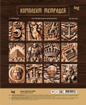 Комплект (12 шт.) предметных тетрадей 48л. BG 