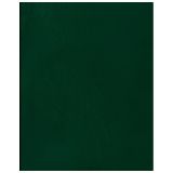 Тетрадь 96л., А4 клетка BG, бумвинил, зеленый