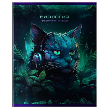 Тетрадь предметная 48л. BG 