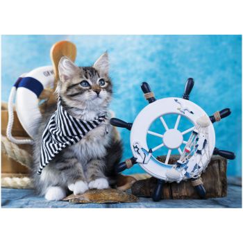 Пазл  1000 эл. ТРИ СОВЫ 