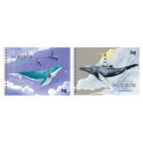 Скетчбук 60л., А5 BG "Киты", на гребне, матовая ламинация, выборочный лак, 120г/м2 Скетчбук 60л., А5 BG "Киты", на гребне, матовая ламинация, выборочный лак, 120г/м2