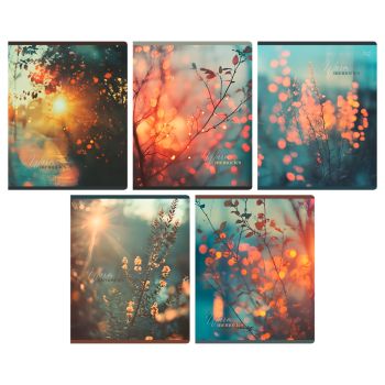 Тетрадь 48л., А5, клетка BG 