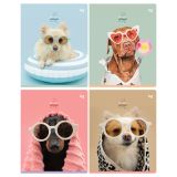 Тетрадь 48л., А5, линия BG "Красивый", выб.лак "песок"