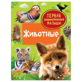 Энциклопедия Росмэн 167*220, 